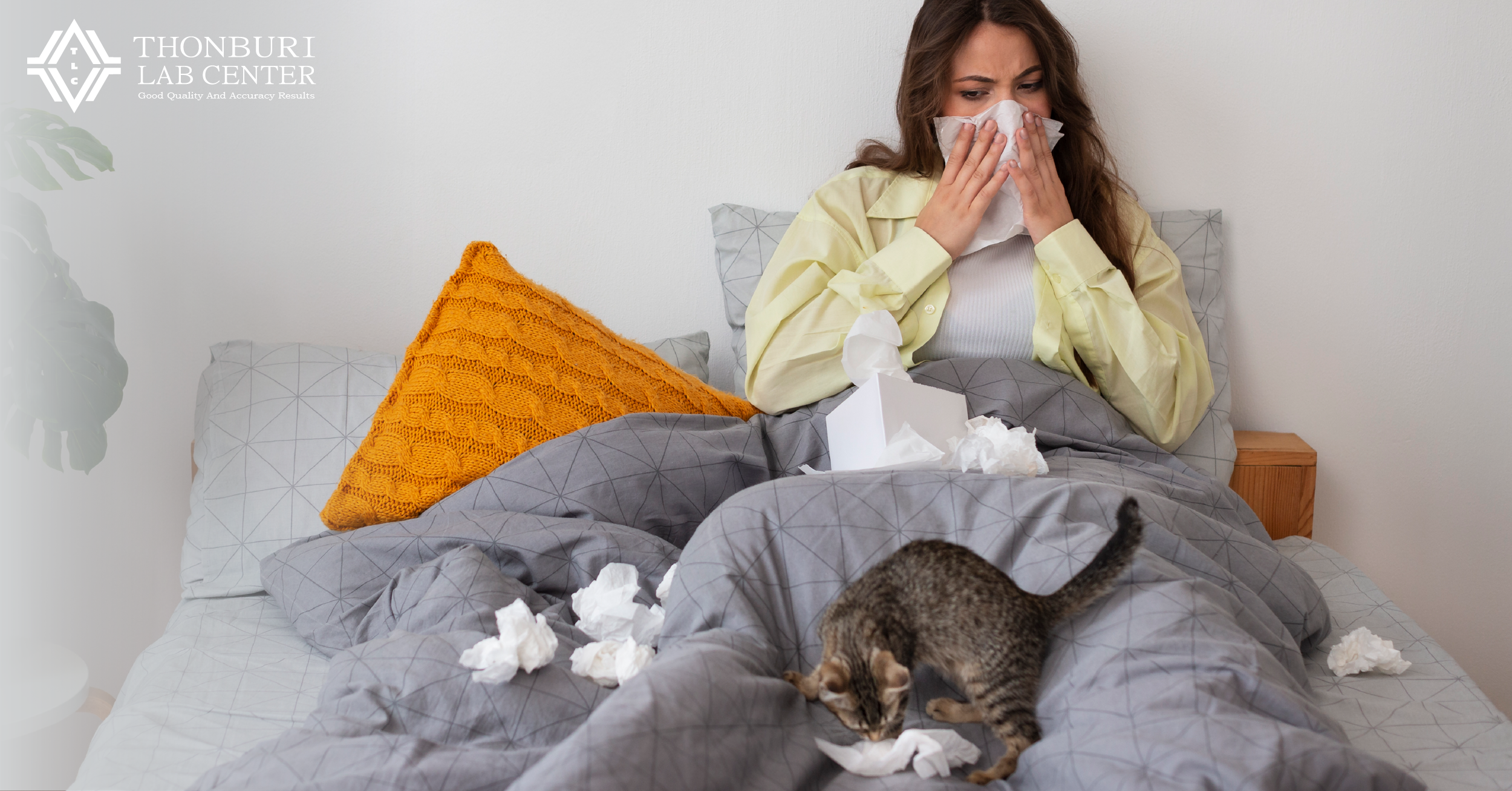 โรค ภูมิแพ้ ( Allergy ) คืออะไร?