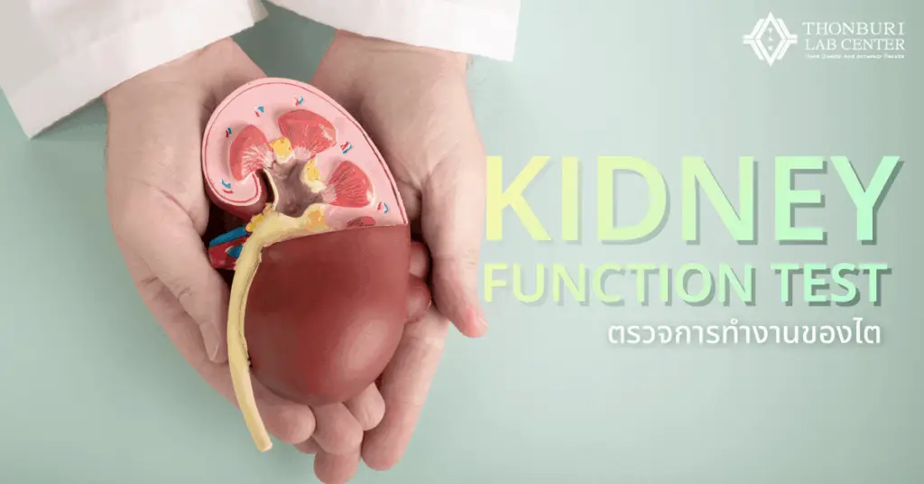 KIDNEY