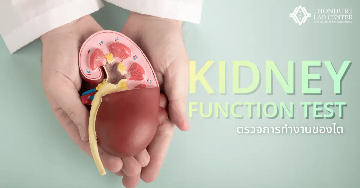 KIDNEY