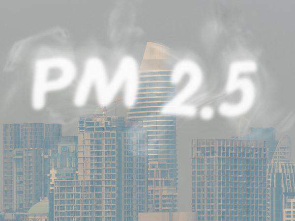 ฝุ่น PM 2.5 คืออะไร?